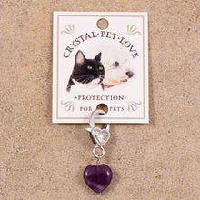 Load image into Gallery viewer, Protection Amethyst Healing Pet Pendant