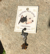 Load image into Gallery viewer, Tiger's Eye Star Pendant
