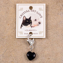 Load image into Gallery viewer, Clarity Black Obsidian Healing Pet Pendant