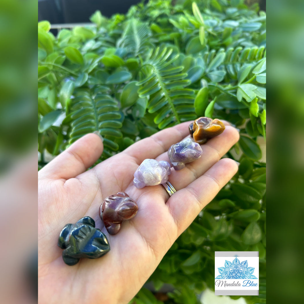 Mixed mini frogs