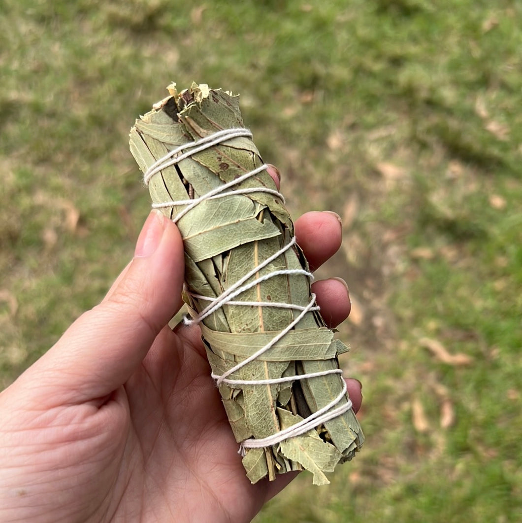 Smudge stick-eucalyptus