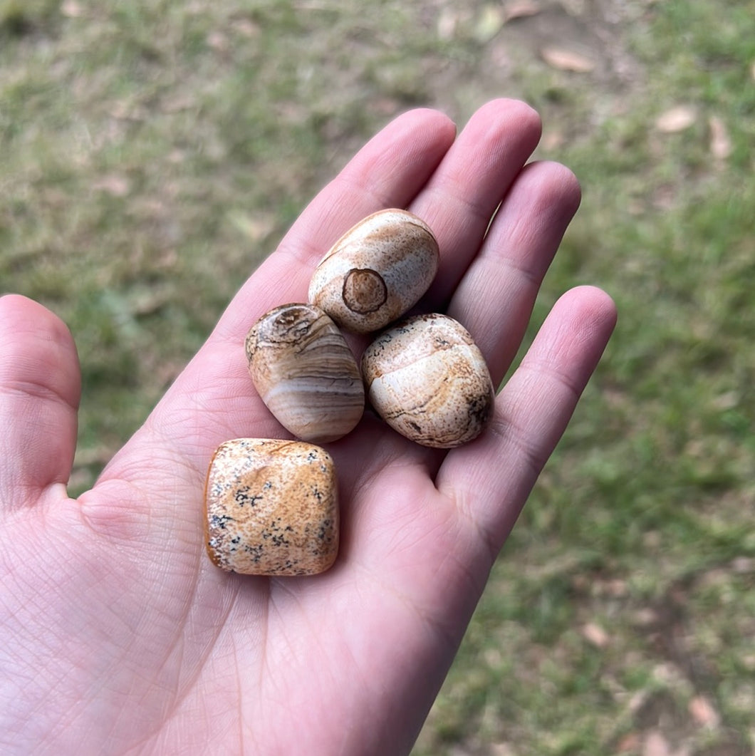 Picture Jasper tumbles